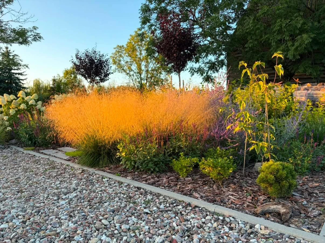 Ogród zrealizowany na podstawie projektu Effkowe Ogrody - ujęcie 12